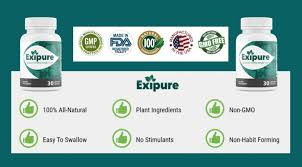 How Exipure Independent Reviews Is Beneficial?