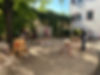 IMG_4989.jpeg
