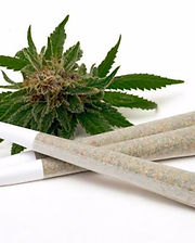 WhatsApp Image 2025-09-04 at 2.04.02 AM.jpeg