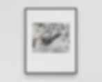 I want to believe sea cucumbers are happy (GP010185), 2025, 13.25 x 16.75 in., Digital silver gelatin print, mat board, framed. Image courtesy the artists and ro art services.