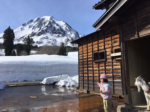 暮らしを見直す。くっついて安心。