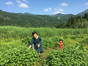 kana20200321 2005.JPG