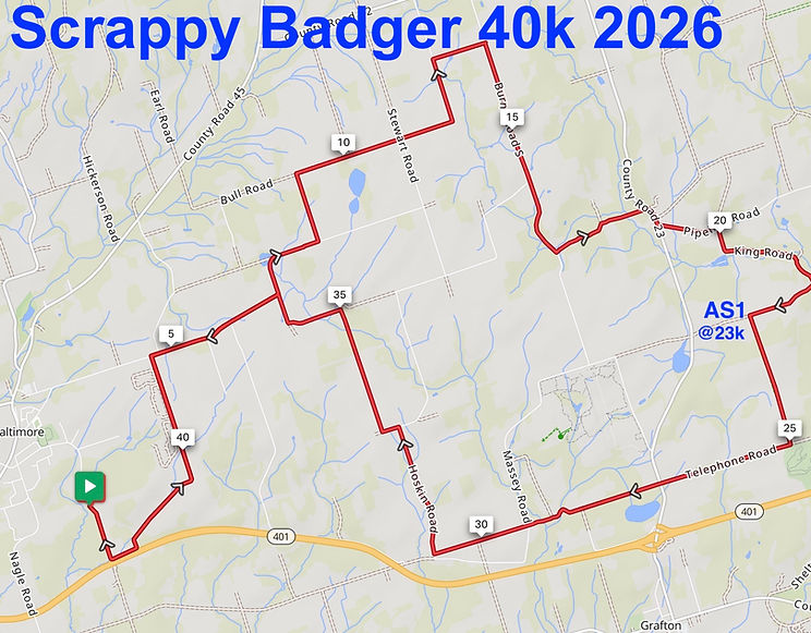 Scrappy Badger 2026 40k.jpg