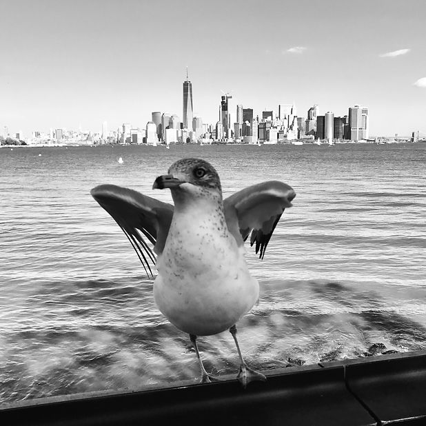 9013857F-53C6-43FE-8A38-C4055414D535.jpe