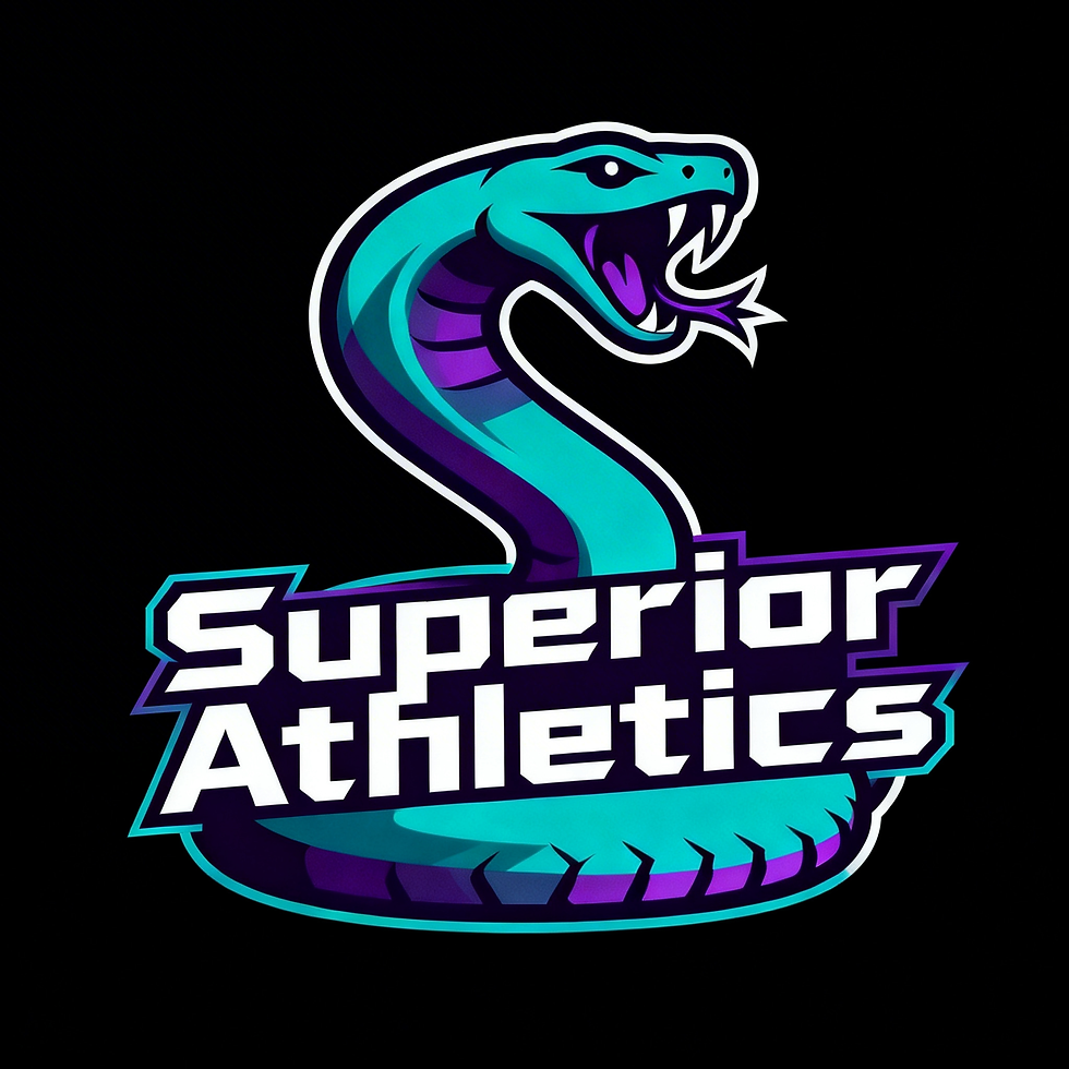 downloaded-image (3).png