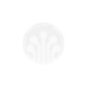 7.png