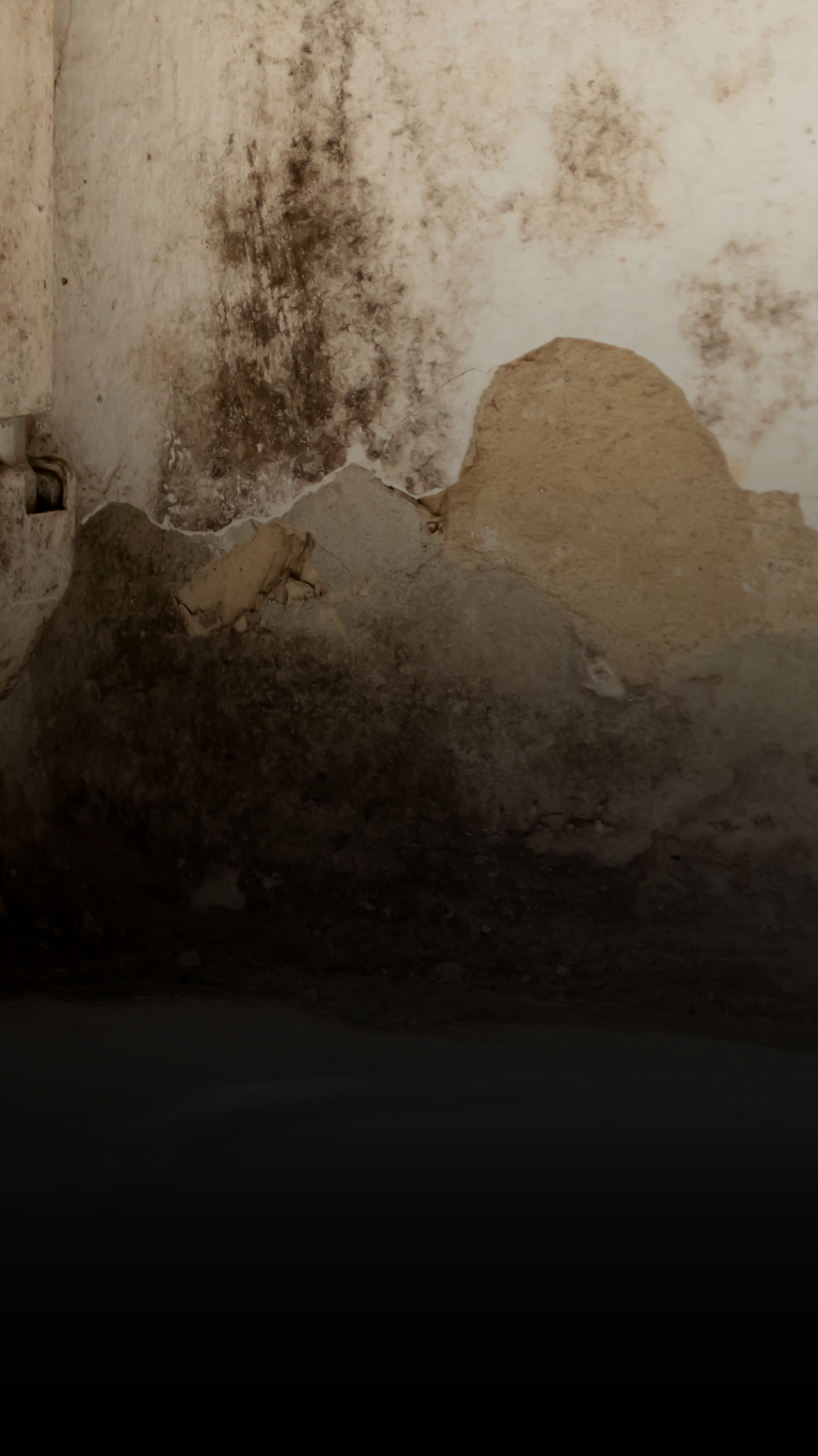mold on a wall