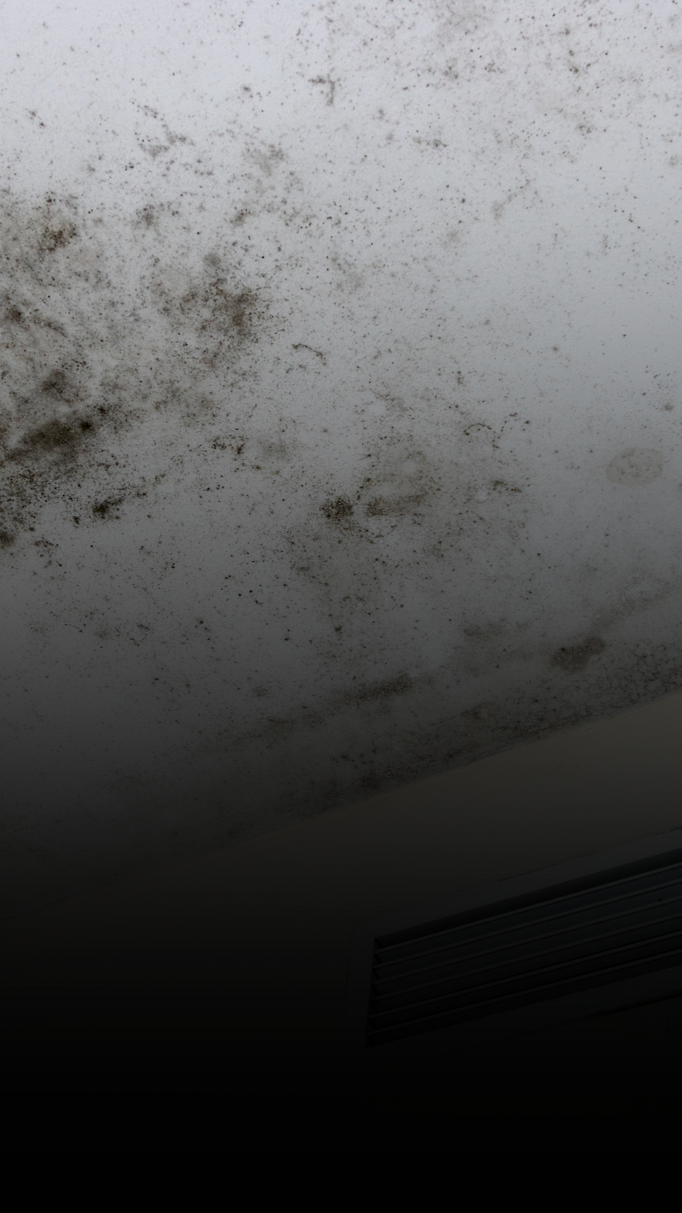 mold on a ceiling