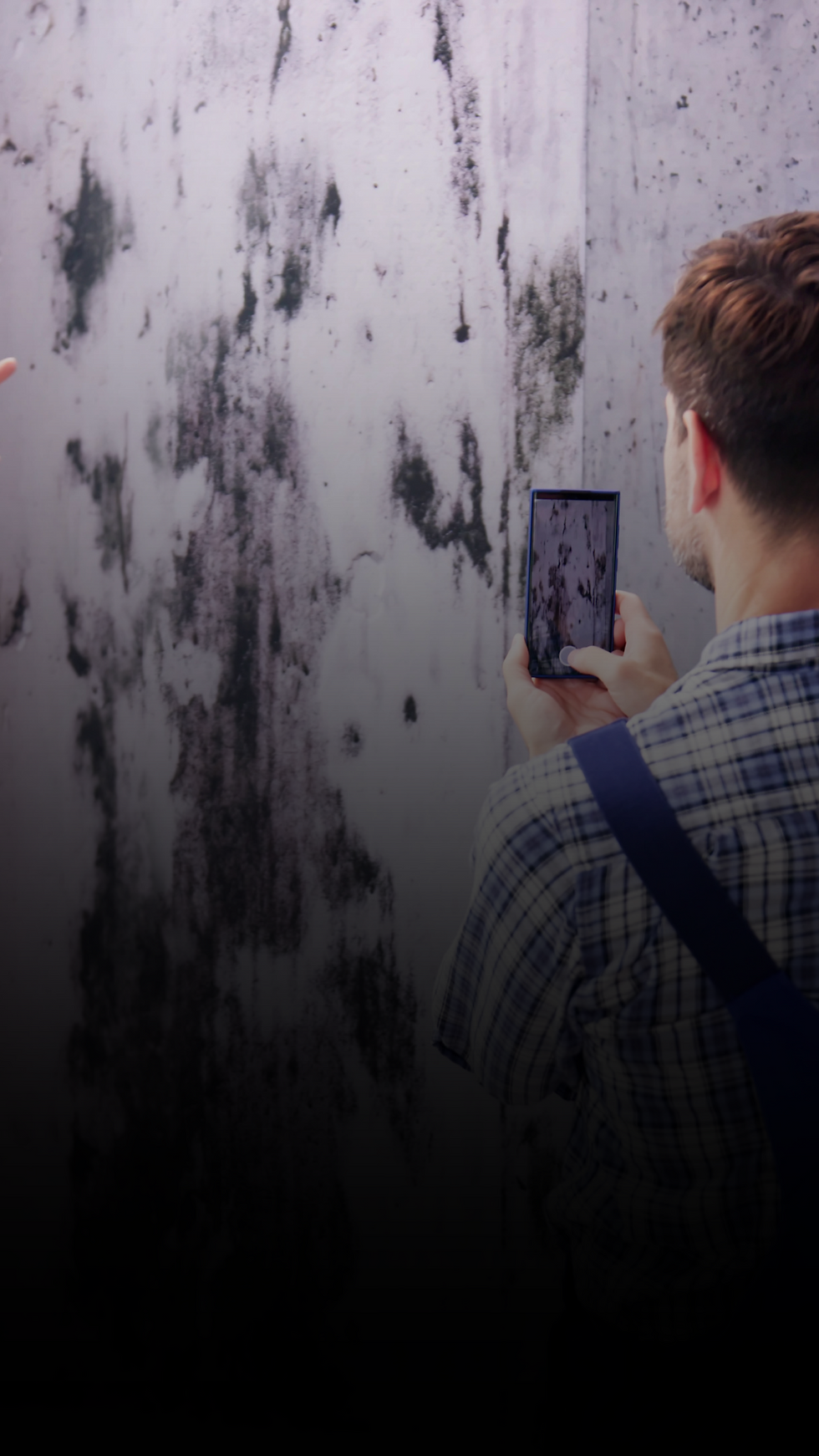 home inspector looking at mold