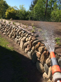 image00019