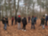 Der Waldtag unserer Klasse 8a im Berliner Grunewald