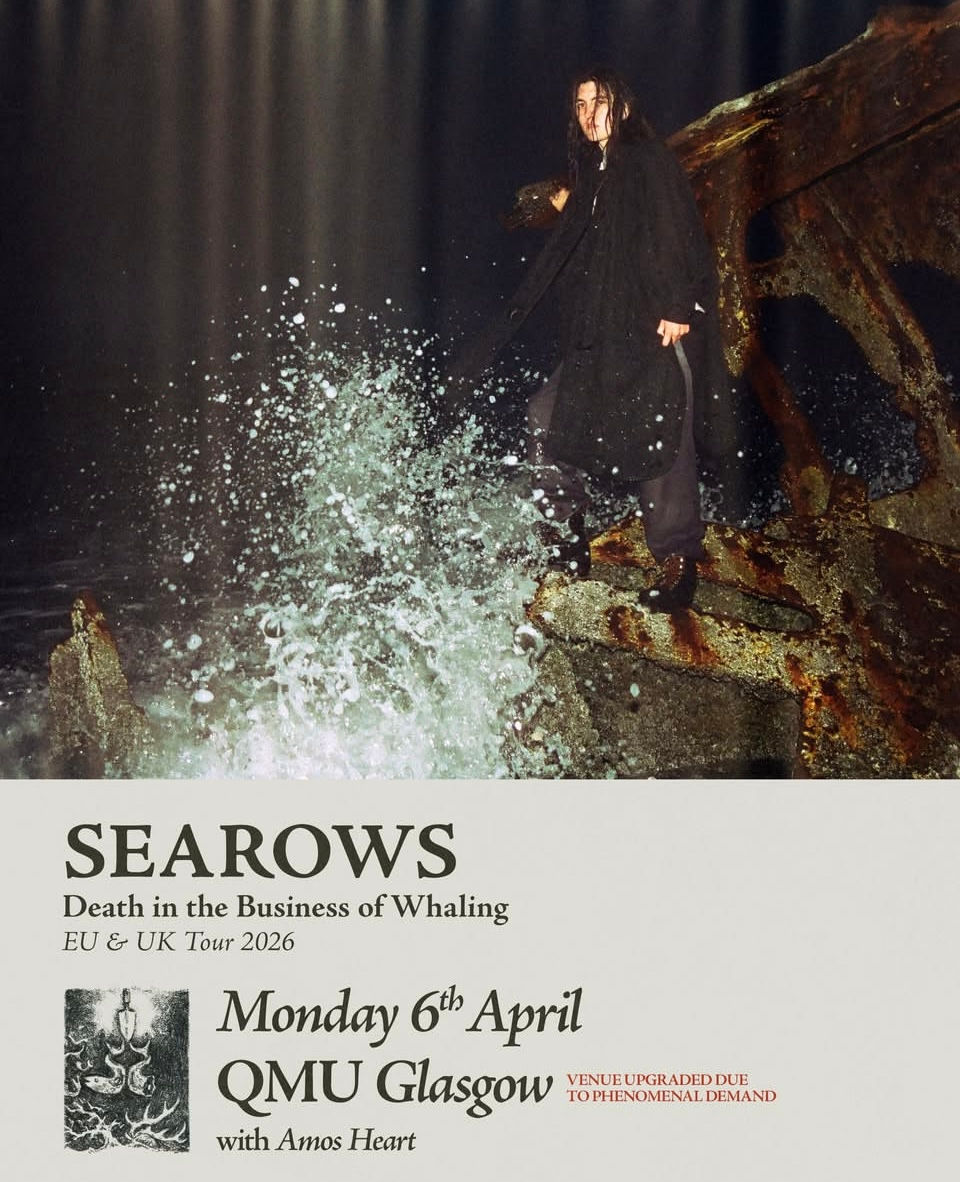 Searows