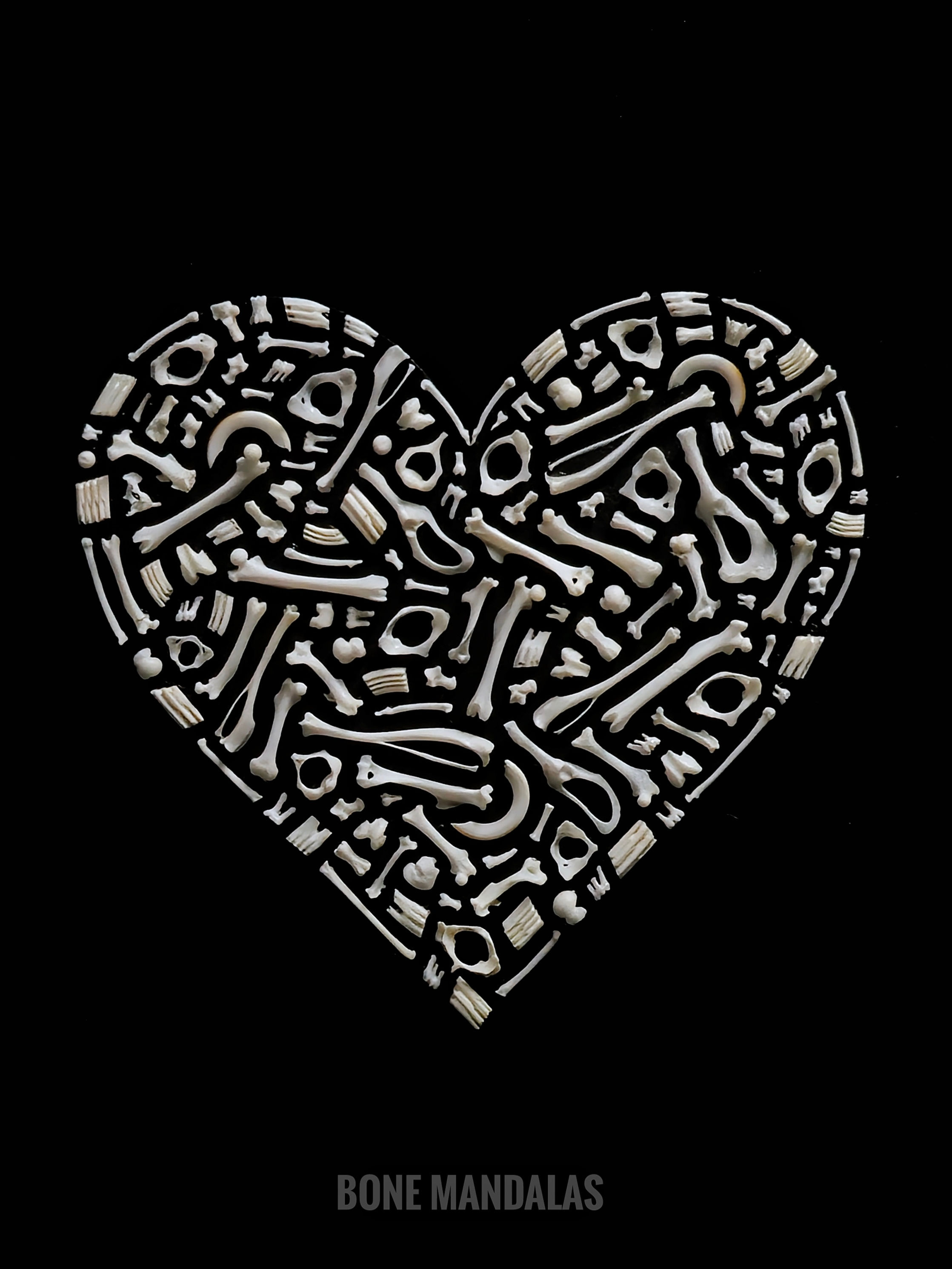 A heart made from real mice, shrew and vole bones