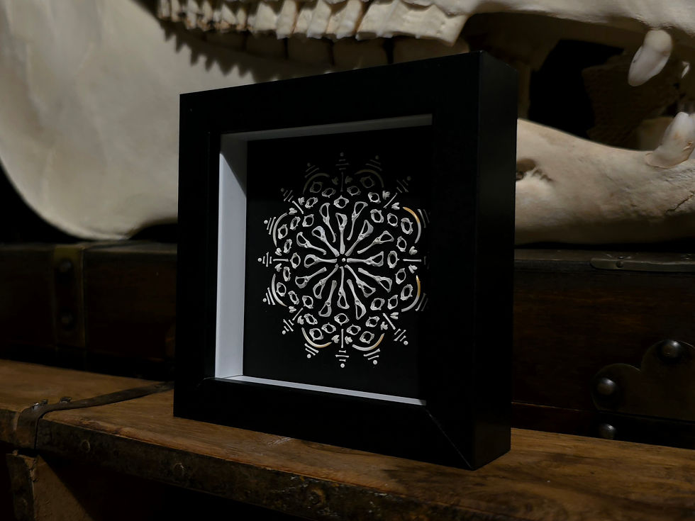 Thumbnail: New small bone mandala design  Real mice shrew & vole bones