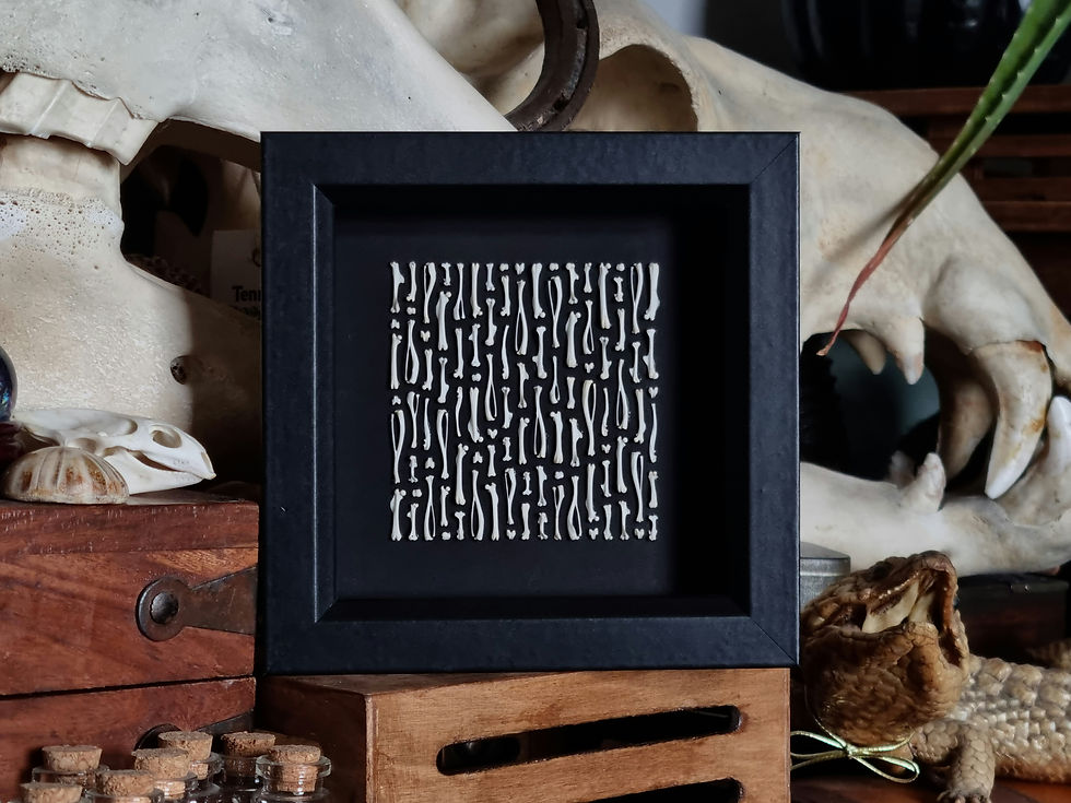 Thumbnail: Bone arrangement   Real mice, shrew & vole bones  15x15cm  2026