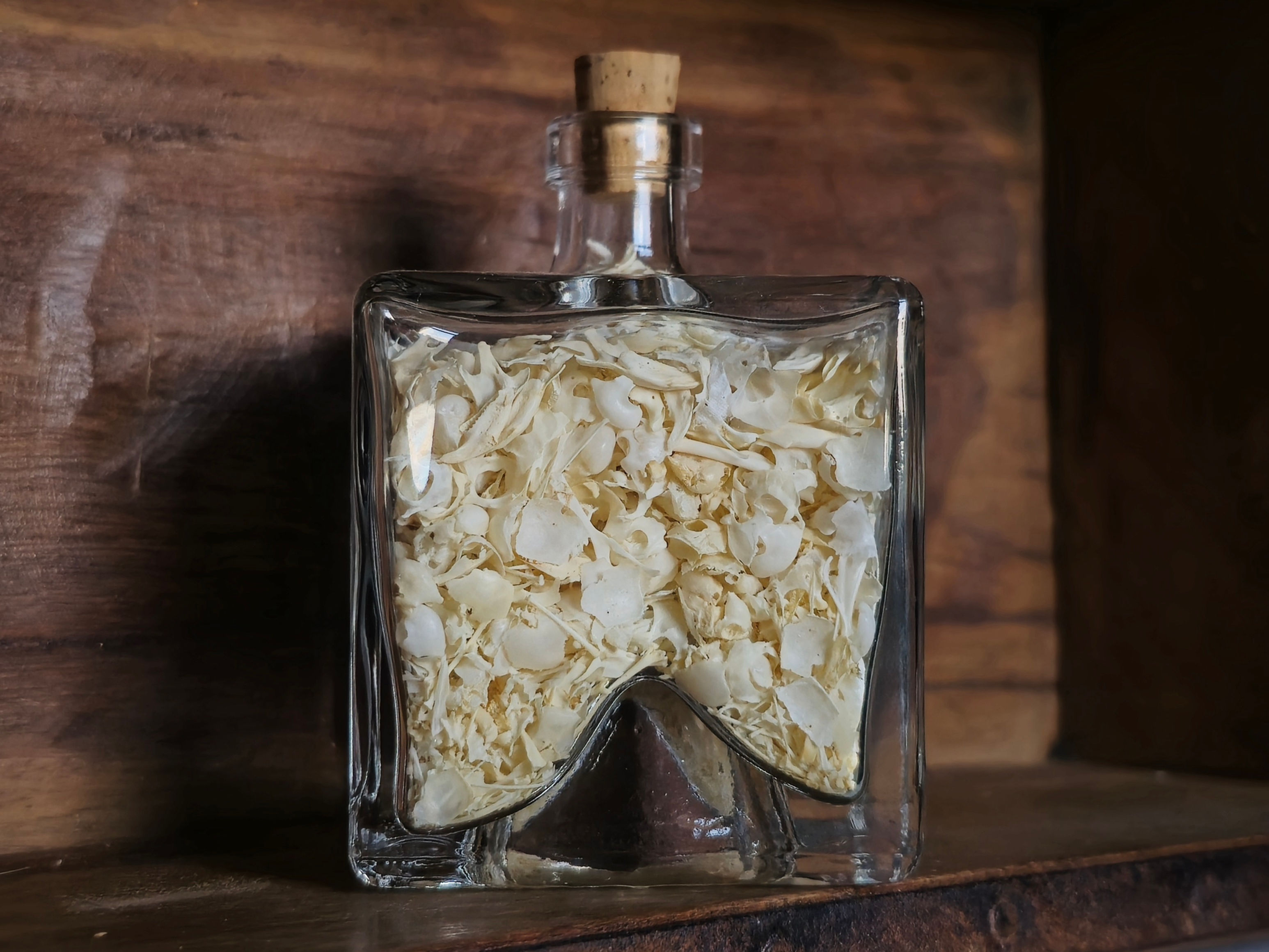 UK only! Jar of skull fragments & jaw bones Real mice, shrew & vole bones