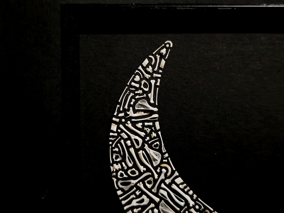 Thumbnail: Crescent moon   Real tiny mice, shrew & vole bones