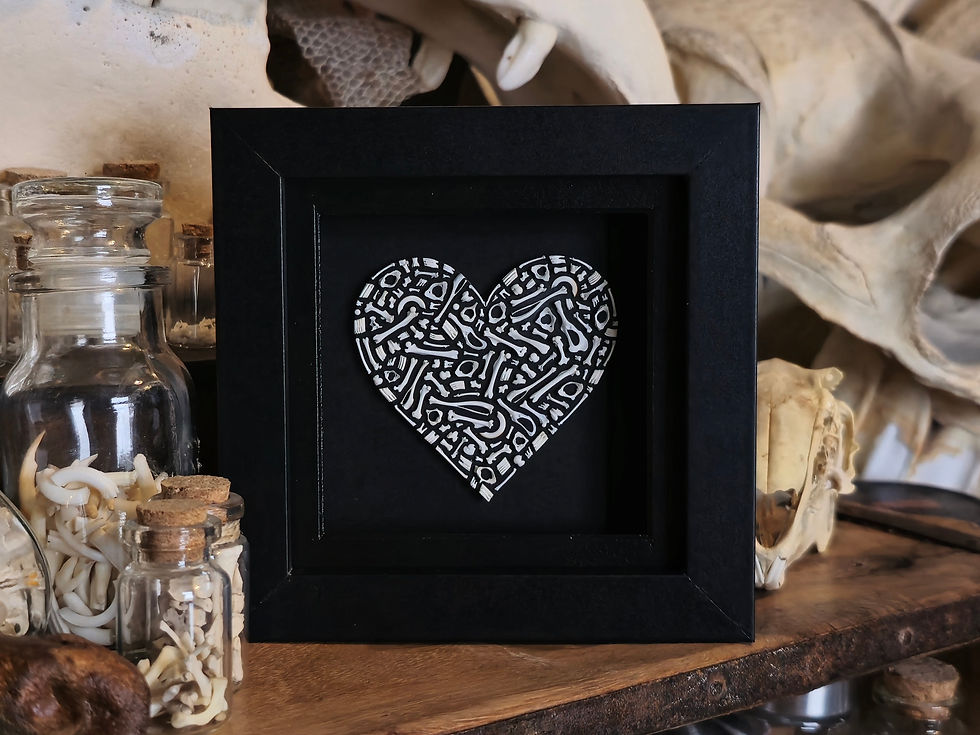 Thumbnail: A heart made from real mice, shrew and vole bones