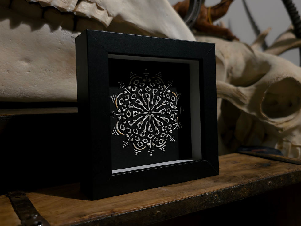 Thumbnail: New small bone mandala design  Real mice shrew & vole bones