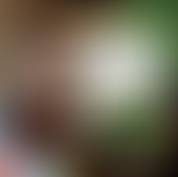 GSP Spotlight: Nagano Harvest Project