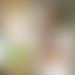 GSP Spotlight: Mali Mali Green Energy Workshop