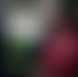 GSP Spotlight: Books For All