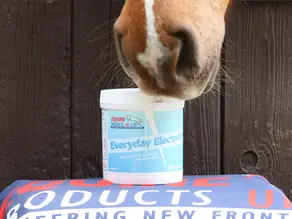 Elektrolytter til hobbyhest og sportshest