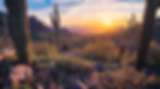 Saguaro sunset in the majestic McDowell Mountains overlooking Scottsdale, AZ.jpg