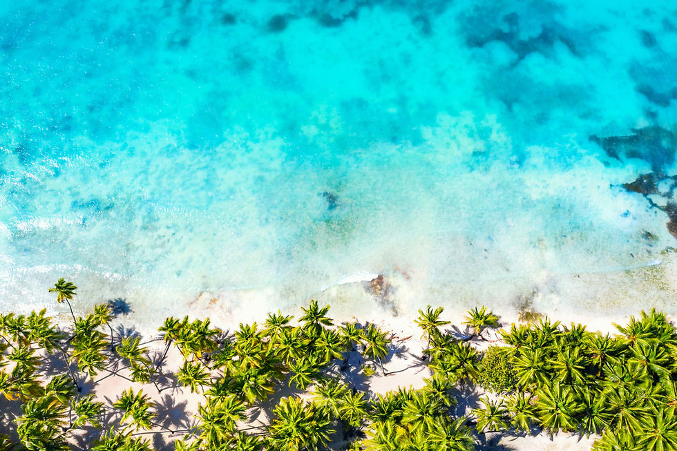 Why Use A Travel Agent?