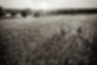AdobeStock_172341377.jpeg