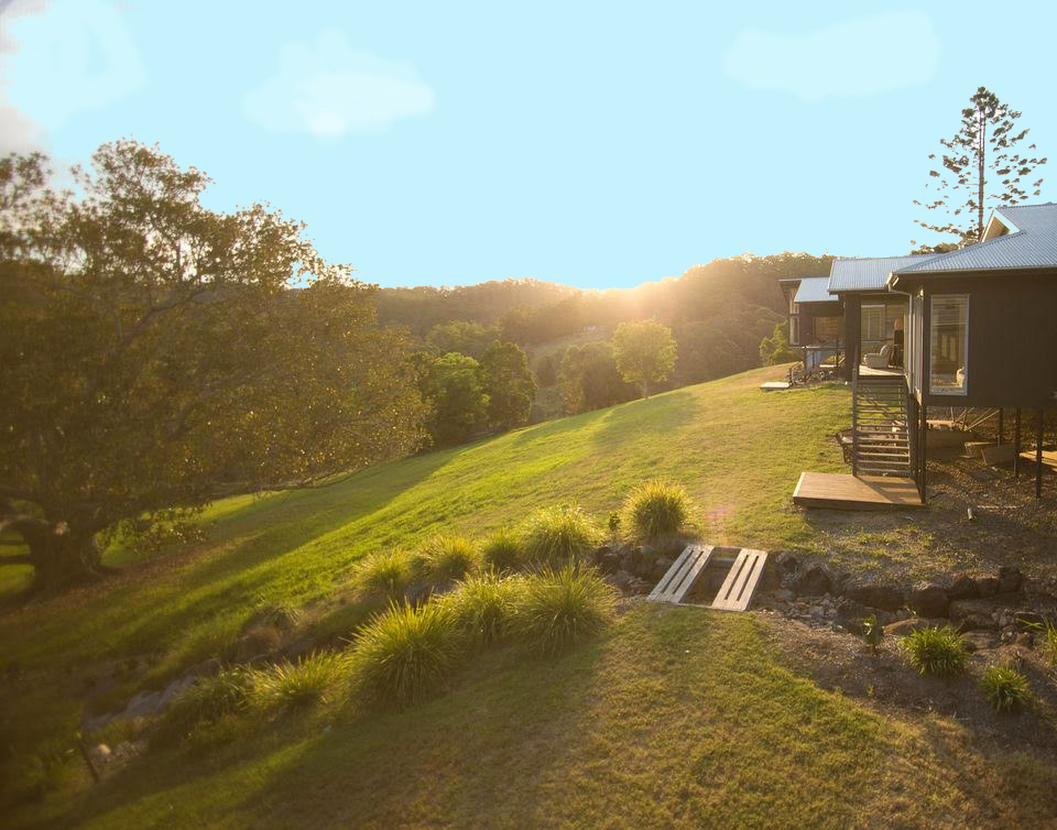 Sideview looking onto fig and deck.png