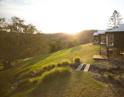 Sideview looking onto fig and deck