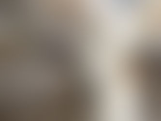 Your Senior Pet's Golden Years