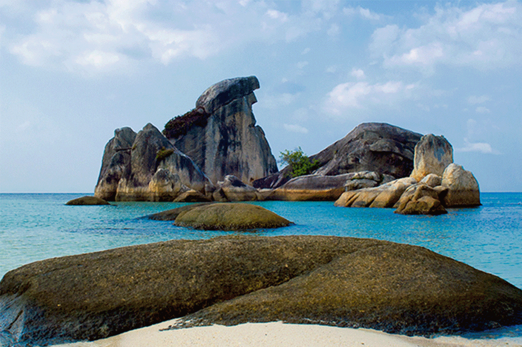 Pulau burung.gif