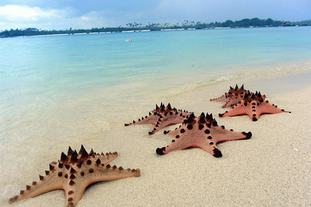 Pantai-pasir-belitung.gif