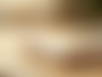 What is holistic medicine?