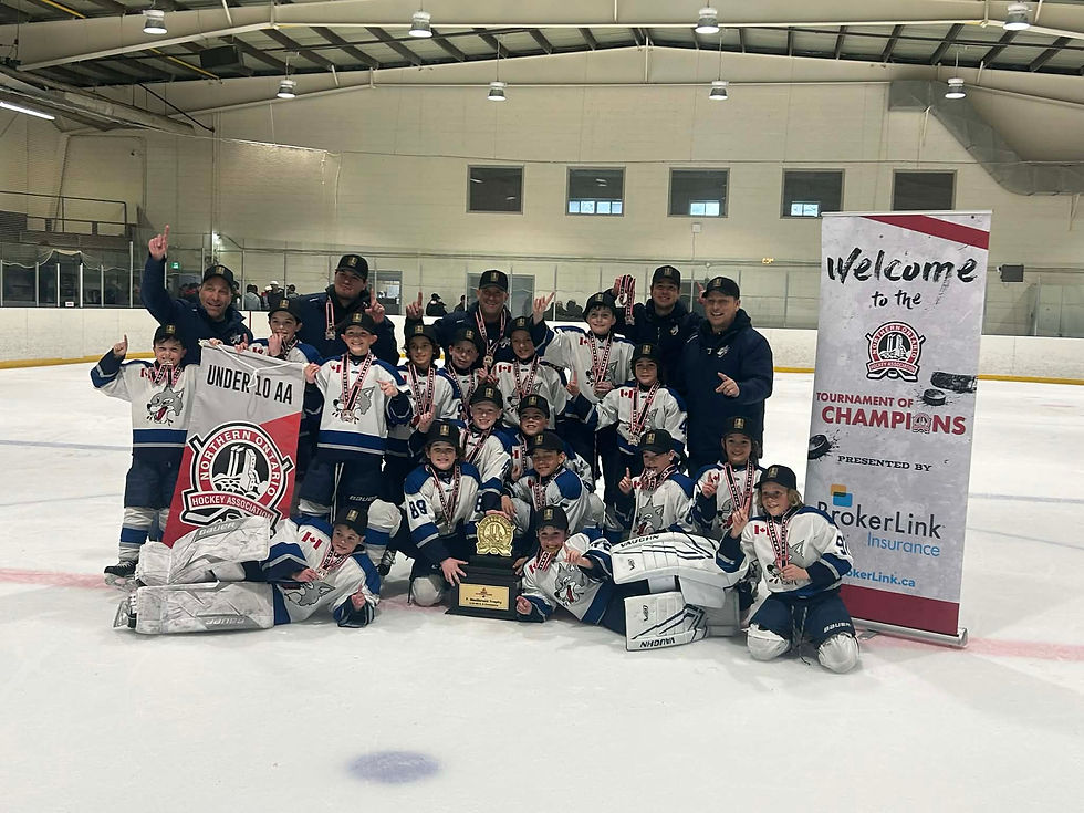u14 aa