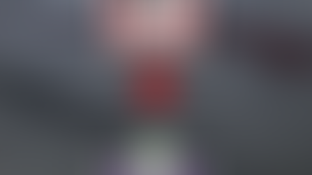 NOHA Officials Selected for National Stage