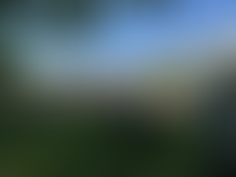 Jane Goodall İstanbul Bilgi Üniversitesi'ndeydi