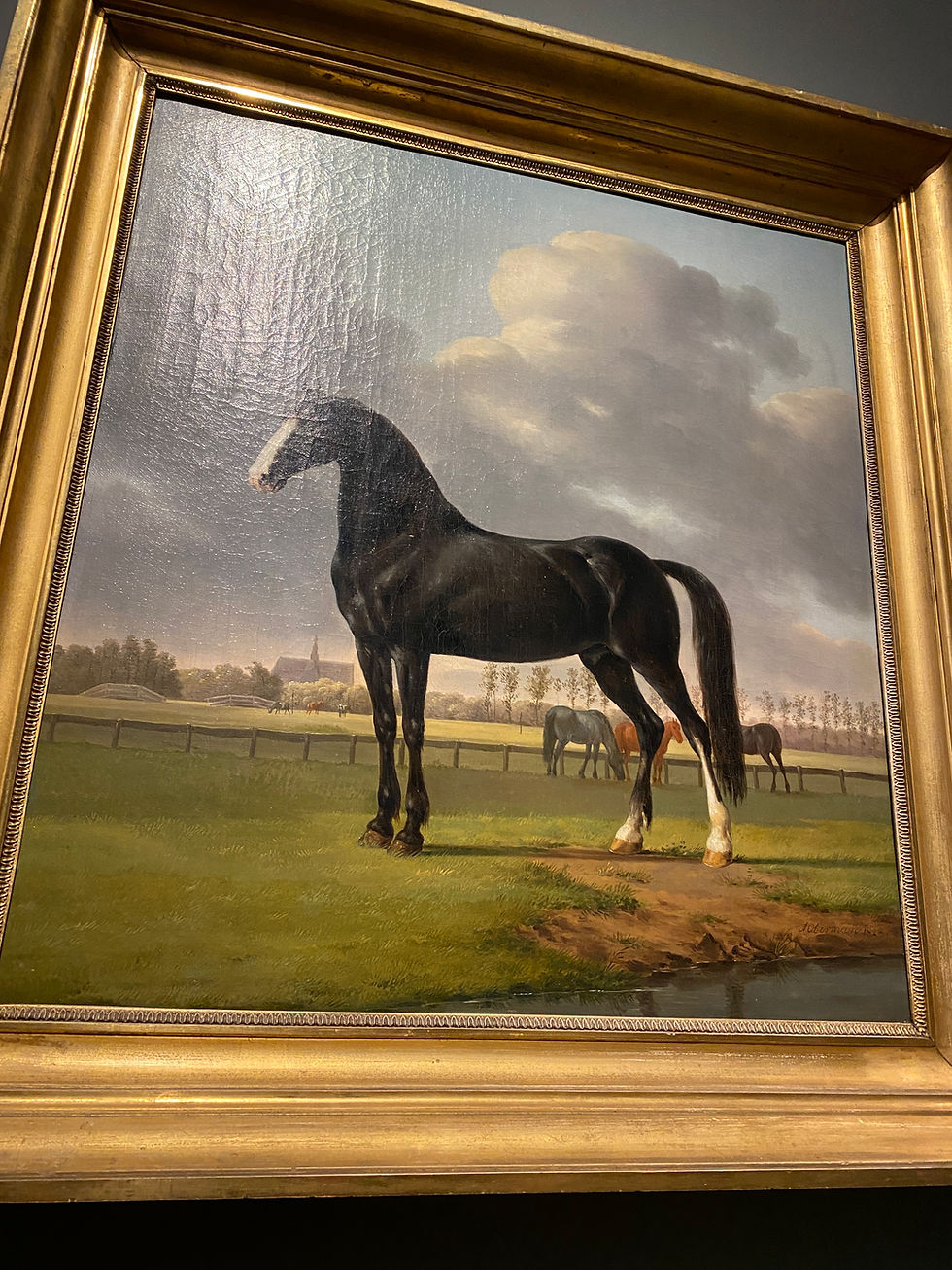 Adriaan van der Hoop’s Trotter ‘De Vlugge’ (The Fast One) in a Meadow, Anthony Oberman, 1828, Rijksmuseum