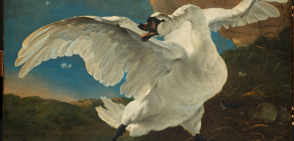 The Threatened Swan, Jan Asselijn, c. 1650, Rijksmuseum