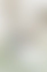 Top 10 Honeymoon Destinations