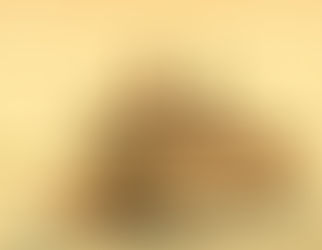 “Two authors, two centuries, one question: How does the legacy of slavery travel across time and continents?”