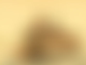 “Two authors, two centuries, one question: How does the legacy of slavery travel across time and continents?”