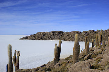 _MG_8845.JPG