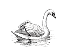 Screenshot_2026-05-11_at_5.39.24_PM-removebg-preview.png