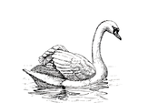 Screenshot_2026-05-11_at_5.39.24_PM-removebg-preview.png