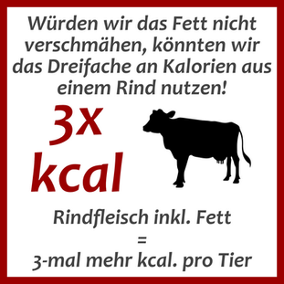 Kalorien in Rind