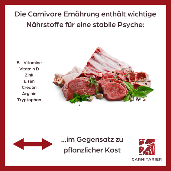 Nährstoffe Fleisch für deine Psyche