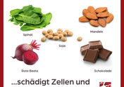 Oxalsäure schädigt Zellen und erzeugt Nierensteine!